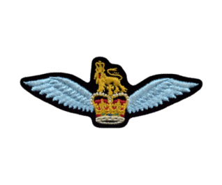 Canadian Army Aviation Wings Badge<br><a href="https://canadianarmyaviation.ca/">canadianarmyaviation.ca</a>