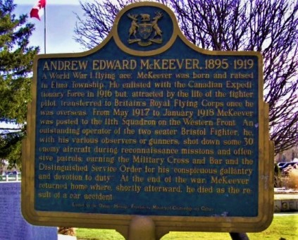 Pilot Andrew Edward McKeever